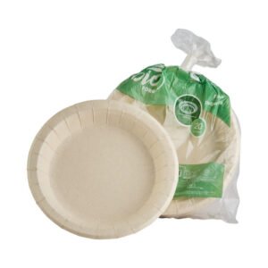 Plato cartón